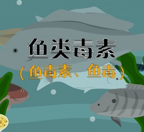 食品有意思：吃魚也中毒？ 