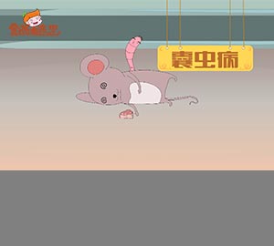 科普視頻:可怕的豬囊尾蚴??！