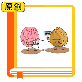 食品科普：多吃核桃真的會變聰明嗎？（食育） (1)